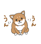 柴犬のもなか（個別スタンプ：14）