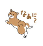 柴犬のもなか（個別スタンプ：15）