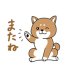 柴犬のもなか（個別スタンプ：16）