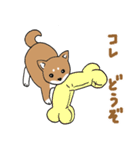 柴犬のもなか（個別スタンプ：21）