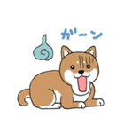 柴犬のもなか（個別スタンプ：24）