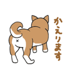 柴犬のもなか（個別スタンプ：26）