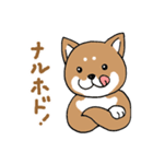 柴犬のもなか（個別スタンプ：28）