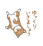 柴犬のもなか（個別スタンプ：33）