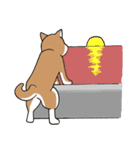 柴犬のもなか（個別スタンプ：40）