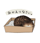 ジャムスタンプ(日常生活編)（個別スタンプ：3）