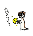 ミーハキャット2.1（個別スタンプ：19）
