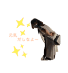今吉's 大人（個別スタンプ：1）
