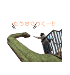 今吉's 大人（個別スタンプ：7）