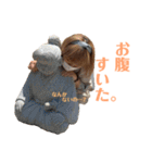 今吉's 大人（個別スタンプ：16）
