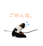 今吉's 大人（個別スタンプ：19）