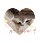 可愛い優稀スタンプ（個別スタンプ：6）