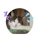 可愛い優稀スタンプ（個別スタンプ：7）