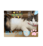 可愛い優稀スタンプ（個別スタンプ：8）