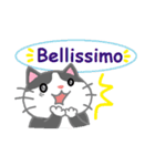 黒に近いグレー猫のイタリア語会話（個別スタンプ：12）