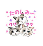 猫の絵スタンプ。（個別スタンプ：4）