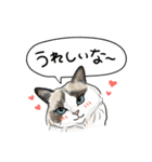 猫の絵スタンプ。（個別スタンプ：5）