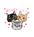 猫の絵スタンプ。（個別スタンプ：9）