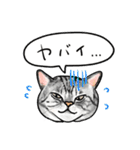 猫の絵スタンプ。（個別スタンプ：10）