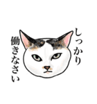 猫の絵スタンプ。（個別スタンプ：11）