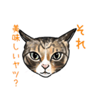 猫の絵スタンプ。（個別スタンプ：14）