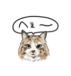 猫の絵スタンプ。（個別スタンプ：22）