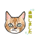 猫の絵スタンプ。（個別スタンプ：25）