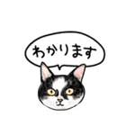 猫の絵スタンプ。（個別スタンプ：27）