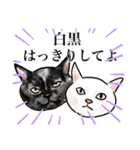 猫の絵スタンプ。（個別スタンプ：30）