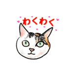 猫の絵スタンプ。（個別スタンプ：32）