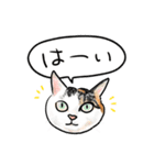 猫の絵スタンプ。（個別スタンプ：33）