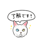 猫の絵スタンプ。（個別スタンプ：35）