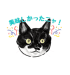 猫の絵スタンプ。（個別スタンプ：36）