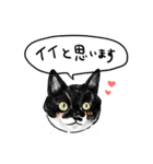 猫の絵スタンプ。（個別スタンプ：37）