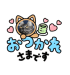 兄妹にゃんず3（個別スタンプ：2）