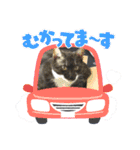 兄妹にゃんず3（個別スタンプ：23）