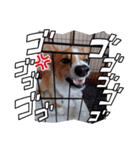 むた 4（個別スタンプ：5）