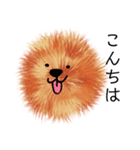 ふさふさ☆犬もどき（個別スタンプ：19）