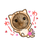パパとぺぺ 3（個別スタンプ：2）
