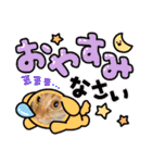 パパとぺぺ 3（個別スタンプ：5）