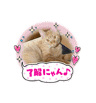 パパとぺぺ 3（個別スタンプ：6）