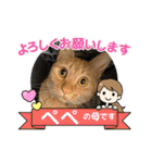 パパとぺぺ 3（個別スタンプ：12）