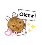 パパとぺぺ 3（個別スタンプ：15）