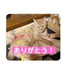 パパとぺぺ 3（個別スタンプ：22）