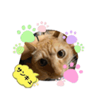 パパとぺぺ 3（個別スタンプ：26）