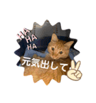 パパとぺぺ 3（個別スタンプ：31）