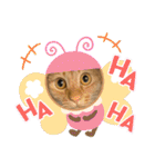 パパとぺぺ 3（個別スタンプ：33）