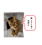 あるれおすたんぷ2（個別スタンプ：9）