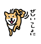 柴犬の気持ちになったスタンプ2（個別スタンプ：11）