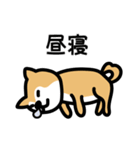 柴犬の気持ちになったスタンプ2（個別スタンプ：14）